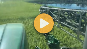 Spraying is underway