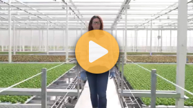 Women in Ag: Emily Ford