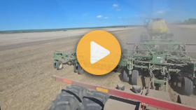 Seeding New Oats