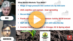 Summer grain rally possibilities