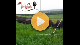 How starting slow leads to grazing success
