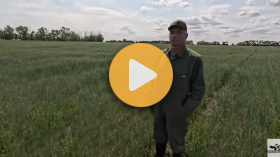 Work on a Sask. dairy farm