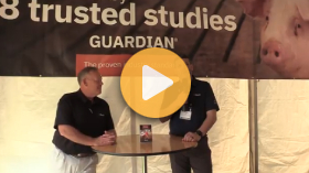New solution powers efficient pork growth