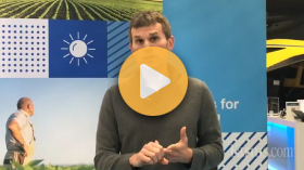 Protecting crops from white mold