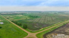 Cash Crop