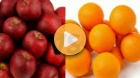 Agri-food sustainability in a risky world