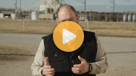 Salt blocks and cattle health