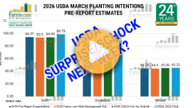 Possible USDA acreage fireworks?