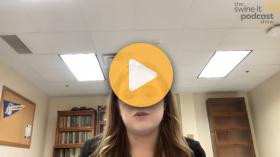 Why sows need more nutrients