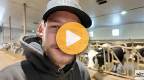 Work on a Sask. dairy farm