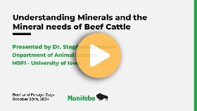 Mineral needs of beef cattle