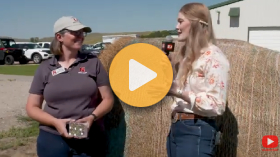 How green is your feed?