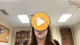 Why sows need more nutrients