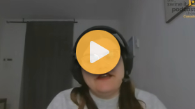 Environmental effects on sow fertility