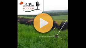 How starting slow leads to grazing success