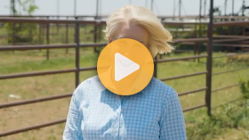 Improving cattle production