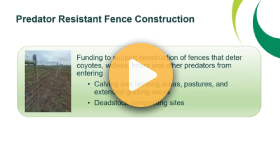 Fence program information