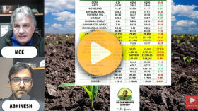 USDA Nov 14th Crop Report could be “Game Changing”