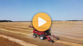 Harvesting oats for the first time