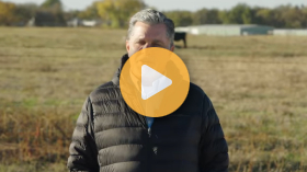 Shaping the future cattle market