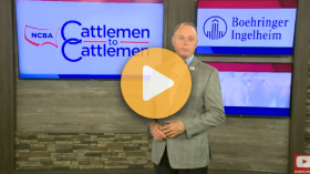 Building heifer health