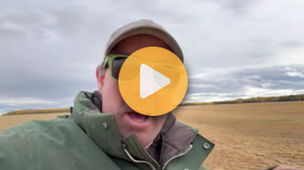 Life on an Alberta farm