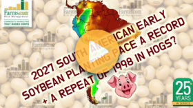 South American soybean update