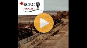 Mycotoxins in beef cattle