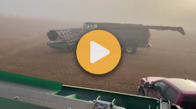 Unloading wheat in the Prairie sacks