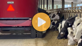 A fall day on a Sask. dairy farm