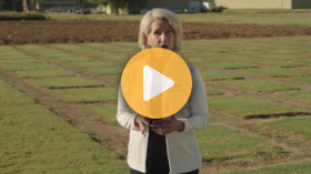 Accurate livestock feeding