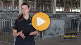 Critical steps to prevent swine disease transmission