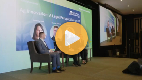 A legal perspective on IP