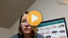 Boosting swine herd immunity against flu
