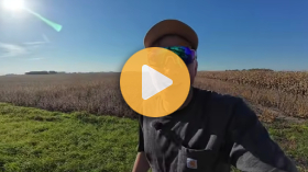 Big problem with soybeans