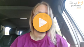 What makes mycoplasma elimination work?