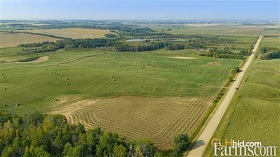 Cash Crop/Ranch