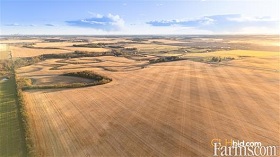 Cash Crop
