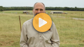 Early signs of pinkeye in cattle
