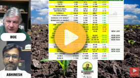 Good news for canola