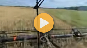 Oat silage