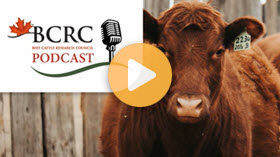 Calf health management practices