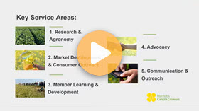 What we heard report