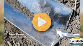Is your canola protected?