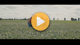 We are grain farmers