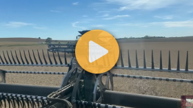 Harvesting canola