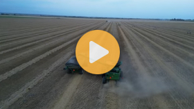 Field work in Alberta