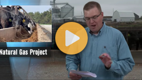 Manure into natural gas