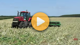 Seeding cereal rye