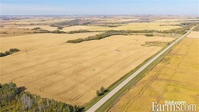 Cash Crop